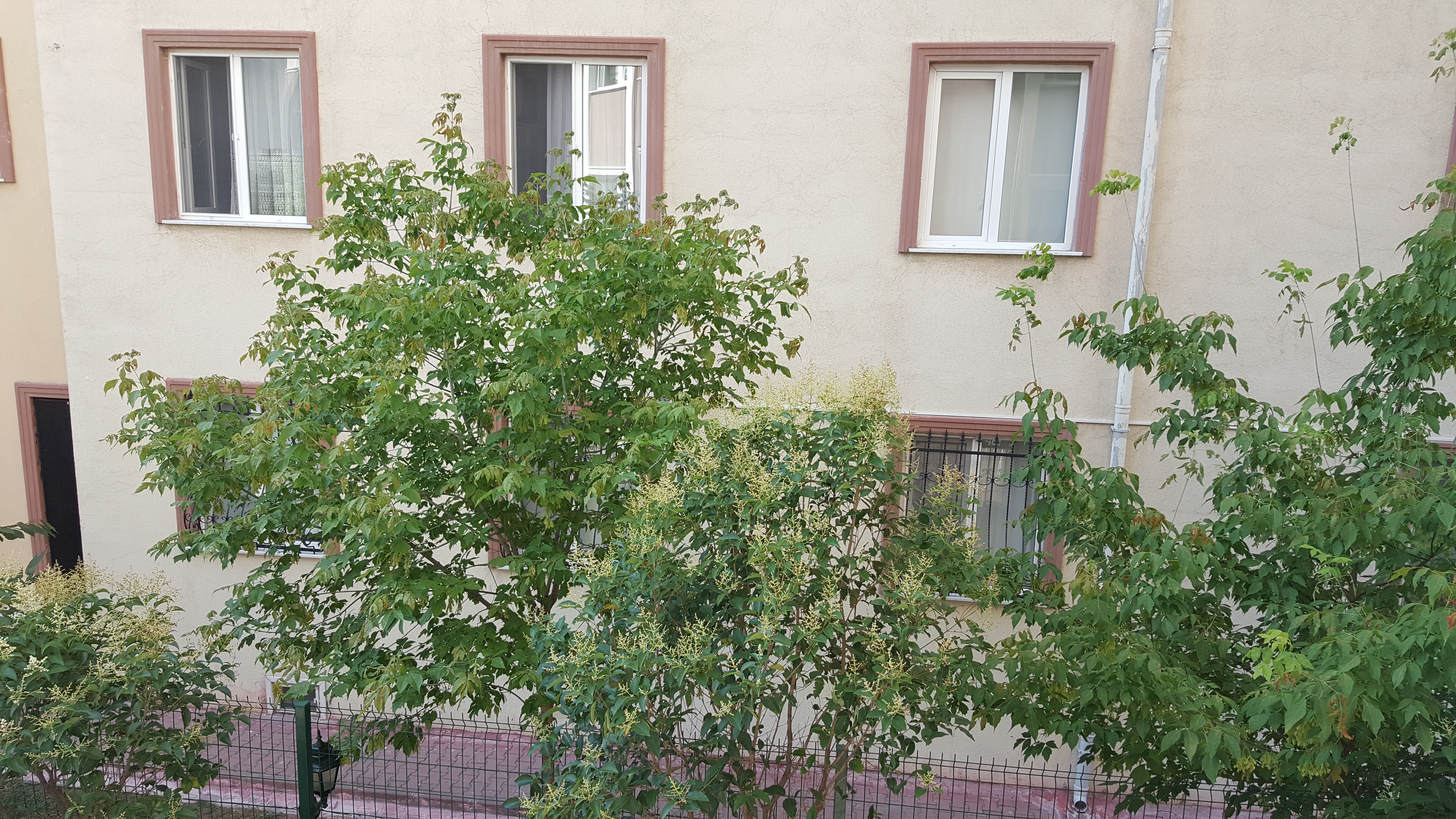 Kiralık Daire, İstanbul / ESENYURT / BARBAROS HAYRETTİN PAŞA