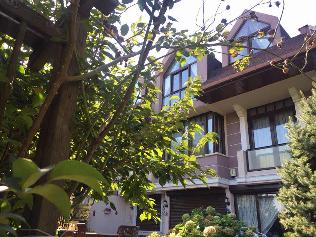 Satılık Villa, İstanbul / BAHÇEŞEHİR / BAHÇEŞEHİR