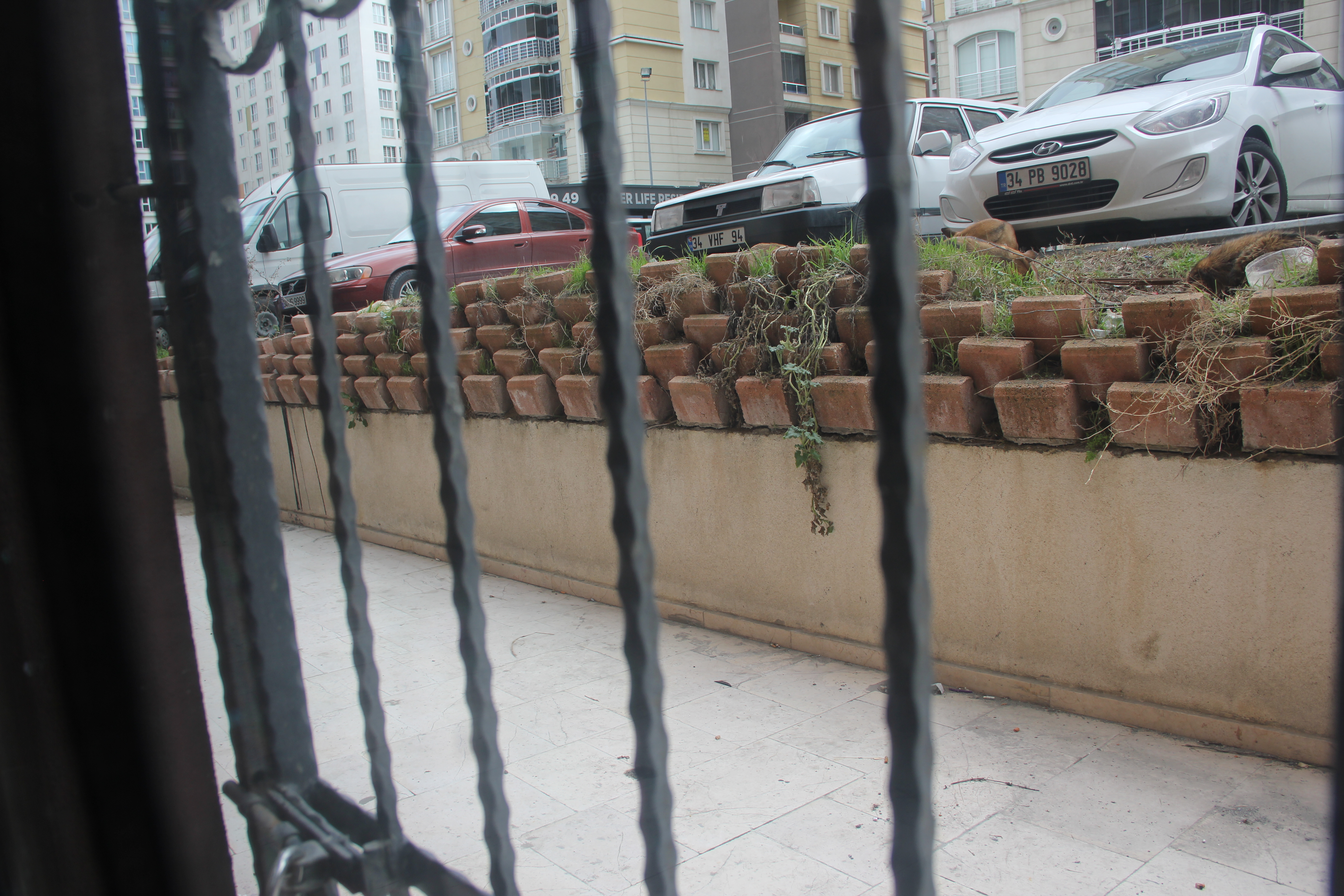 Satılık Daire, İstanbul / ESENYURT / PİRİ REİS