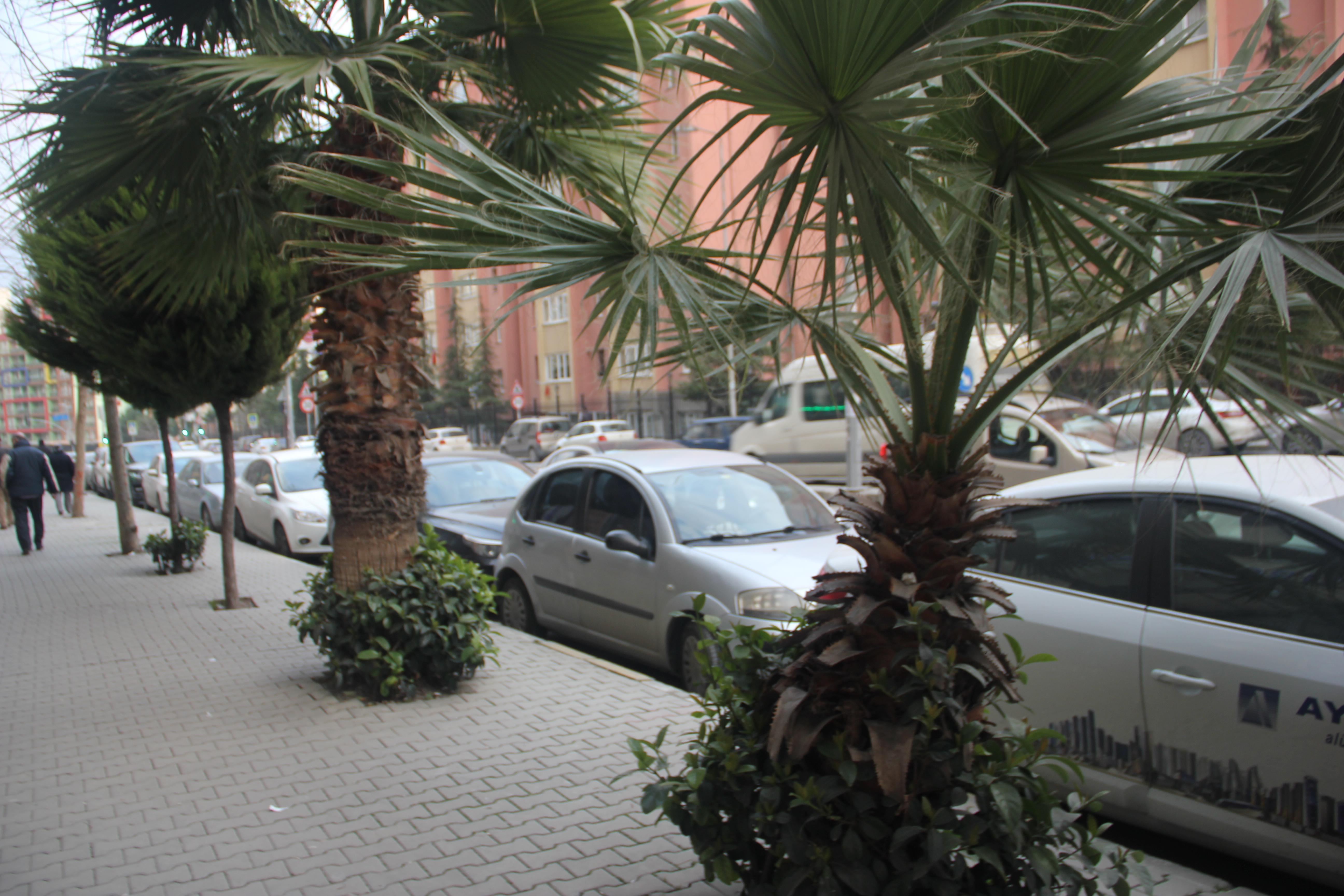 Satılık Daire, İstanbul / ESENYURT / PİRİ REİS