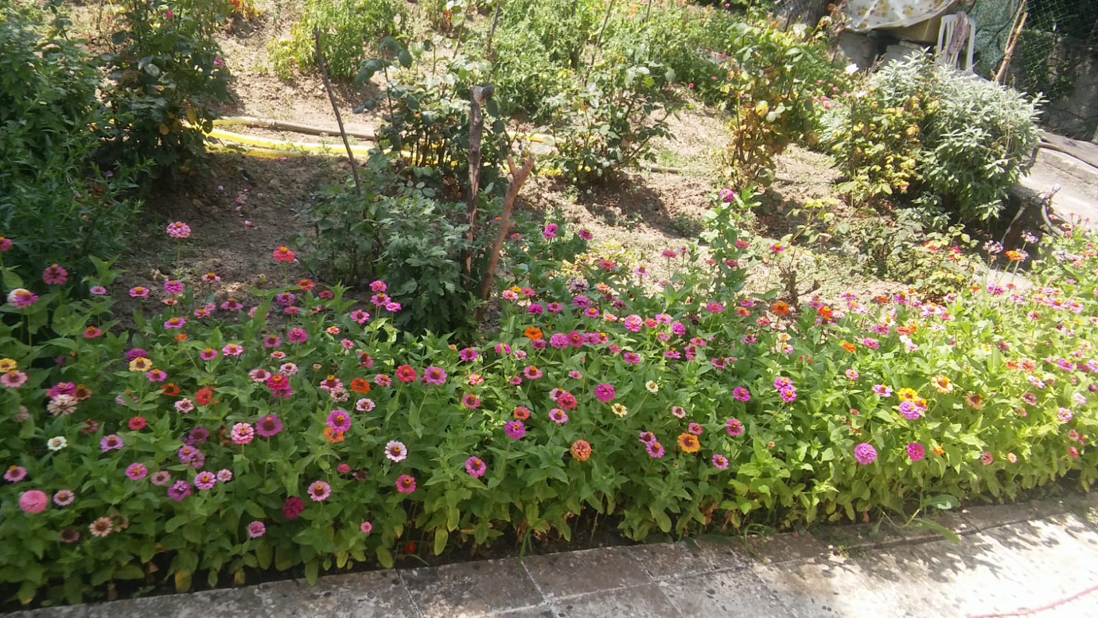 Kiralık Villa, İstanbul / DEREAĞZI