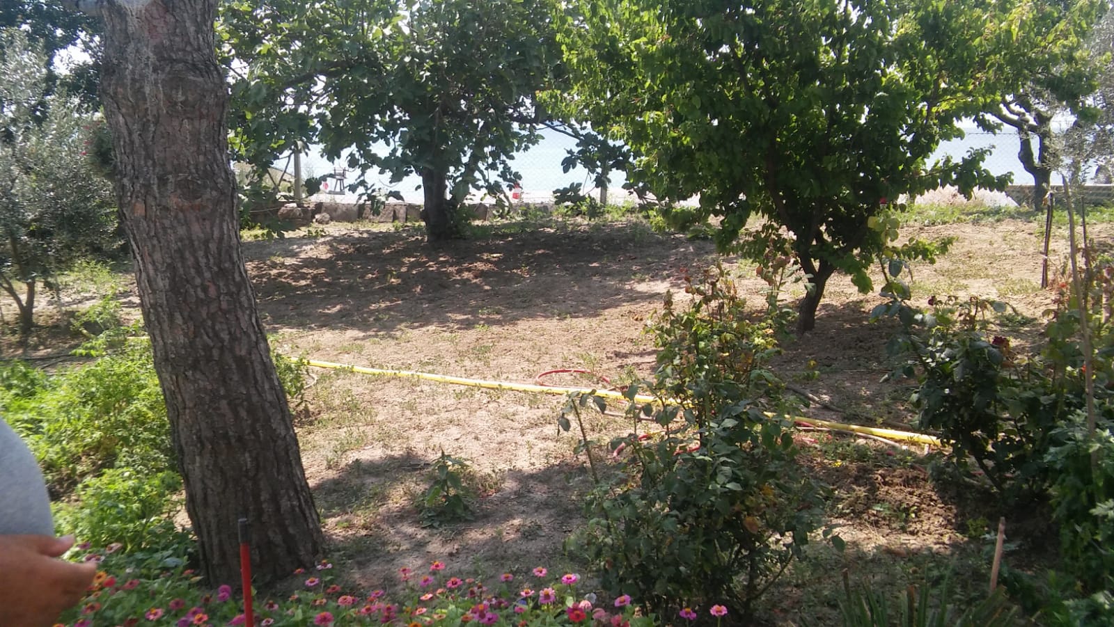 Kiralık Villa, İstanbul / DEREAĞZI