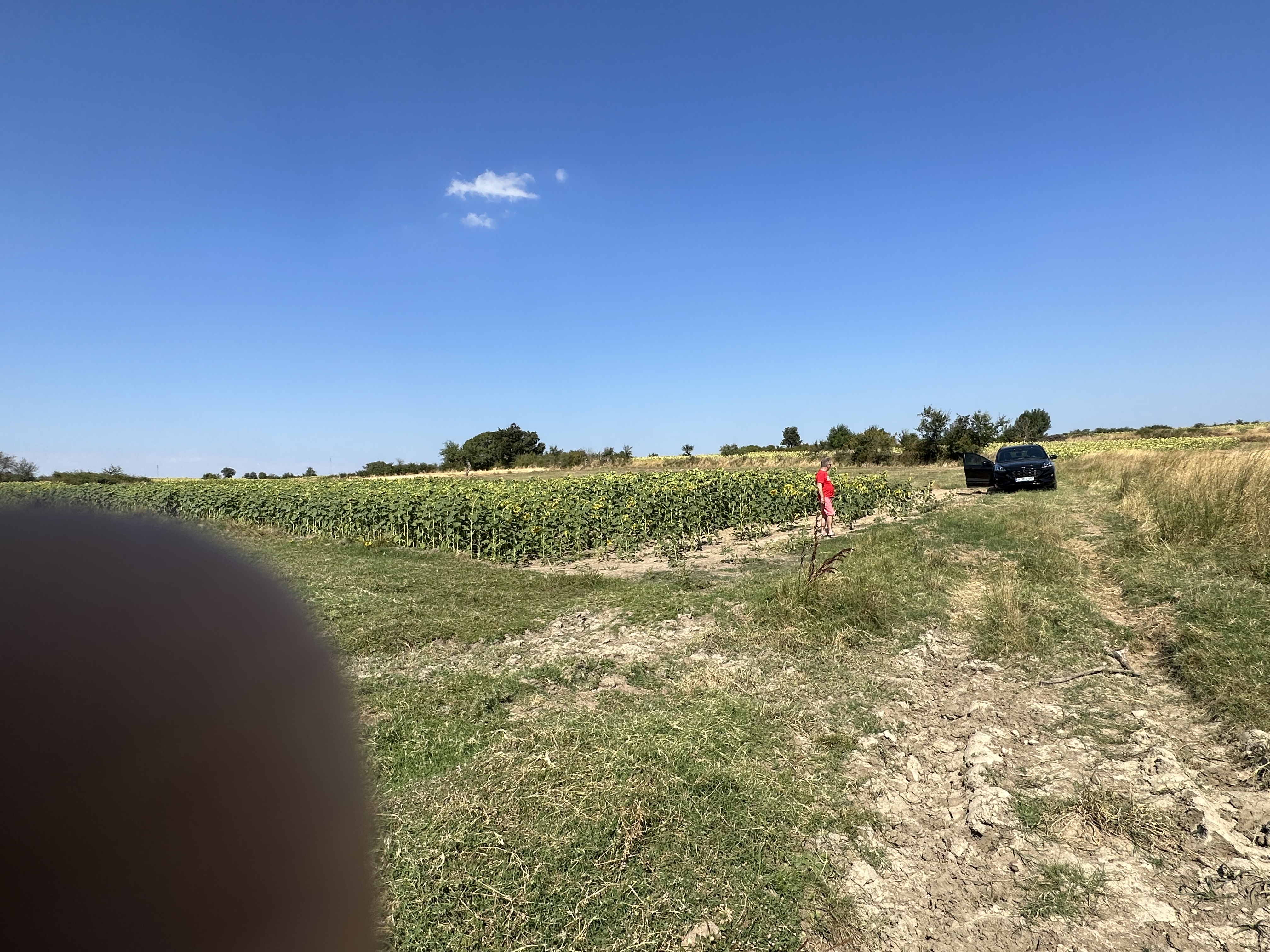 Satılık Ekilebilir Arazi, Kırklareli / KARAHAMZA