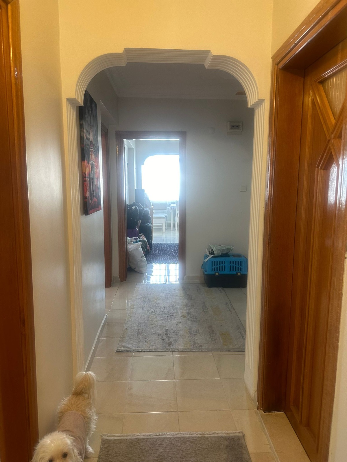 Kiralık Daire, İstanbul / BEYLİKDÜZÜ / BARIŞ