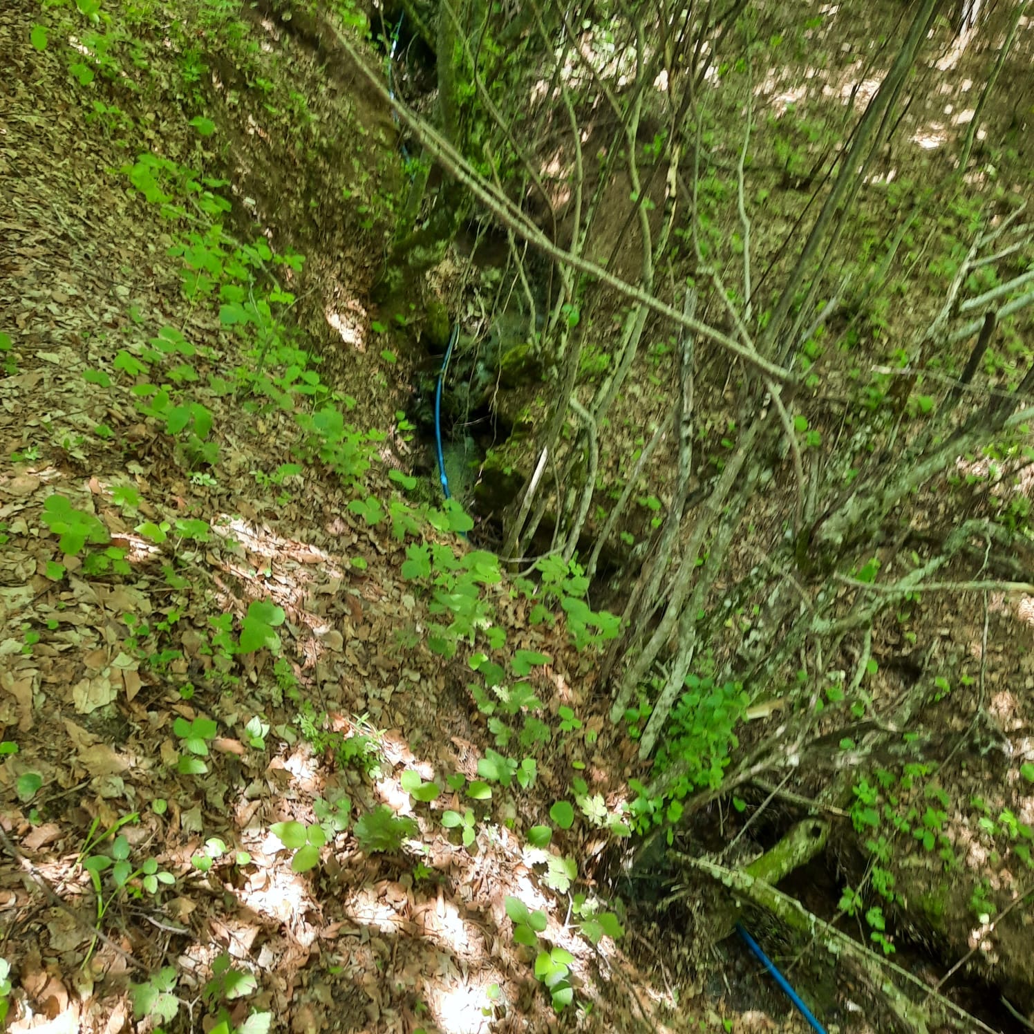 Satılık Sulak Arazi, Sakarya