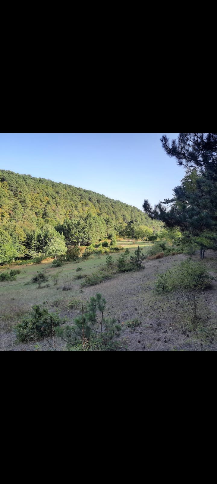 Satılık Sulak Arazi, Sakarya