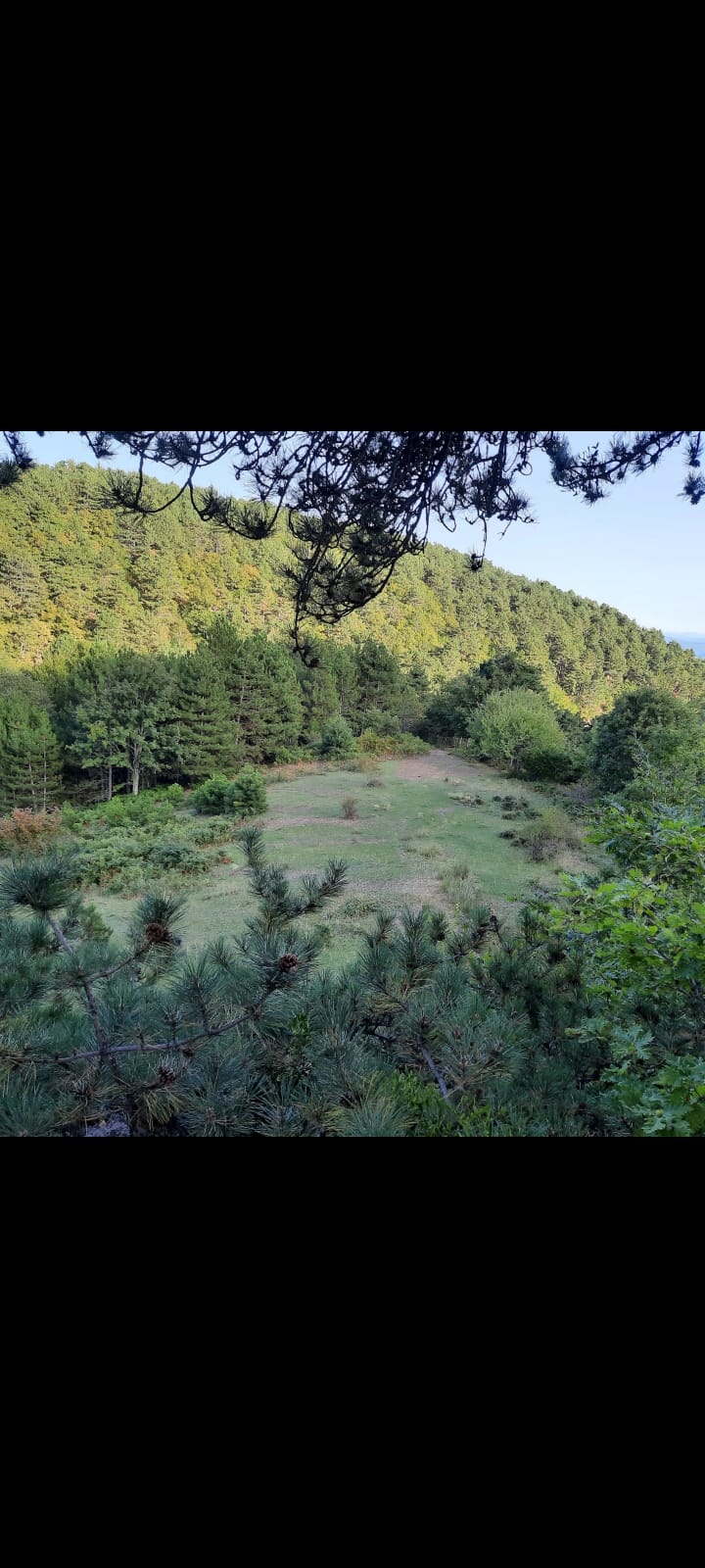 Satılık Sulak Arazi, Sakarya