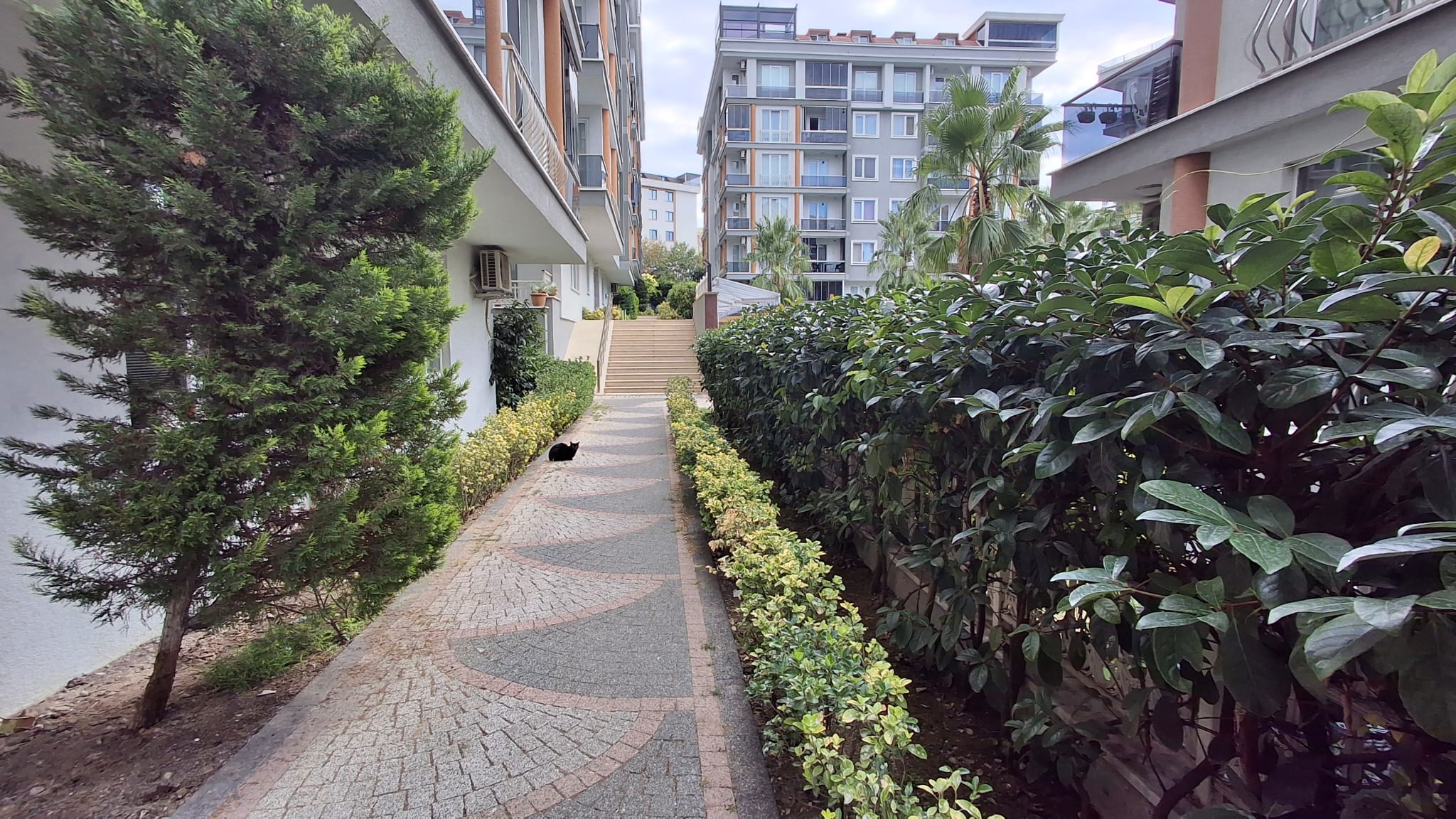 Kiralık Daire, İstanbul / GÜRPINAR / DEREAĞIZI