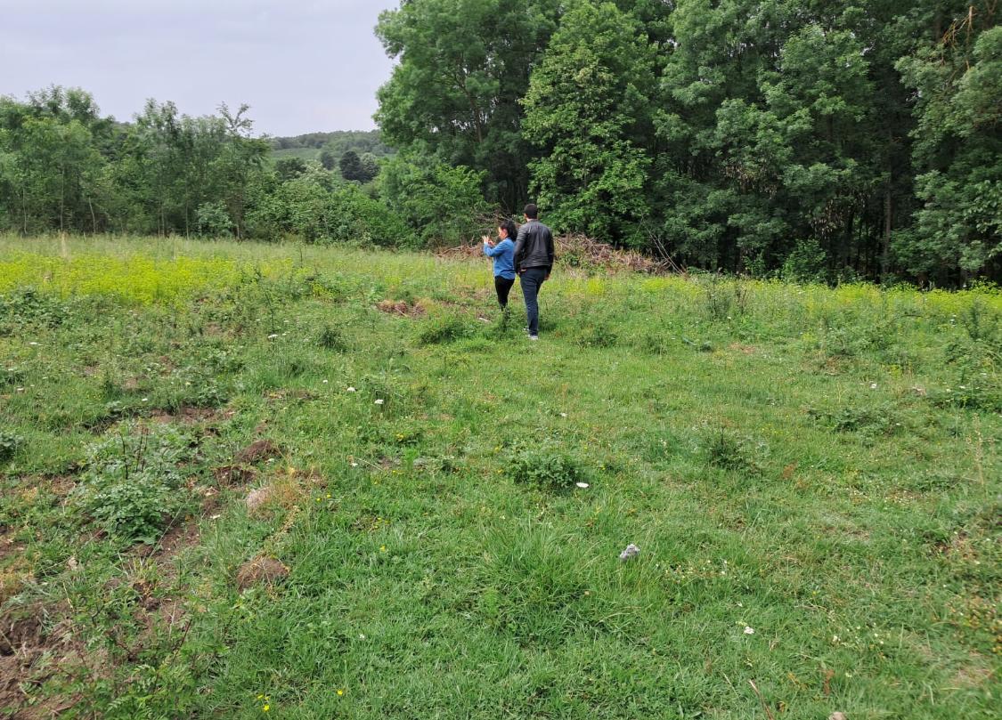 Satılık İstanbul / GÜMÜŞ OVA / ELMACIK