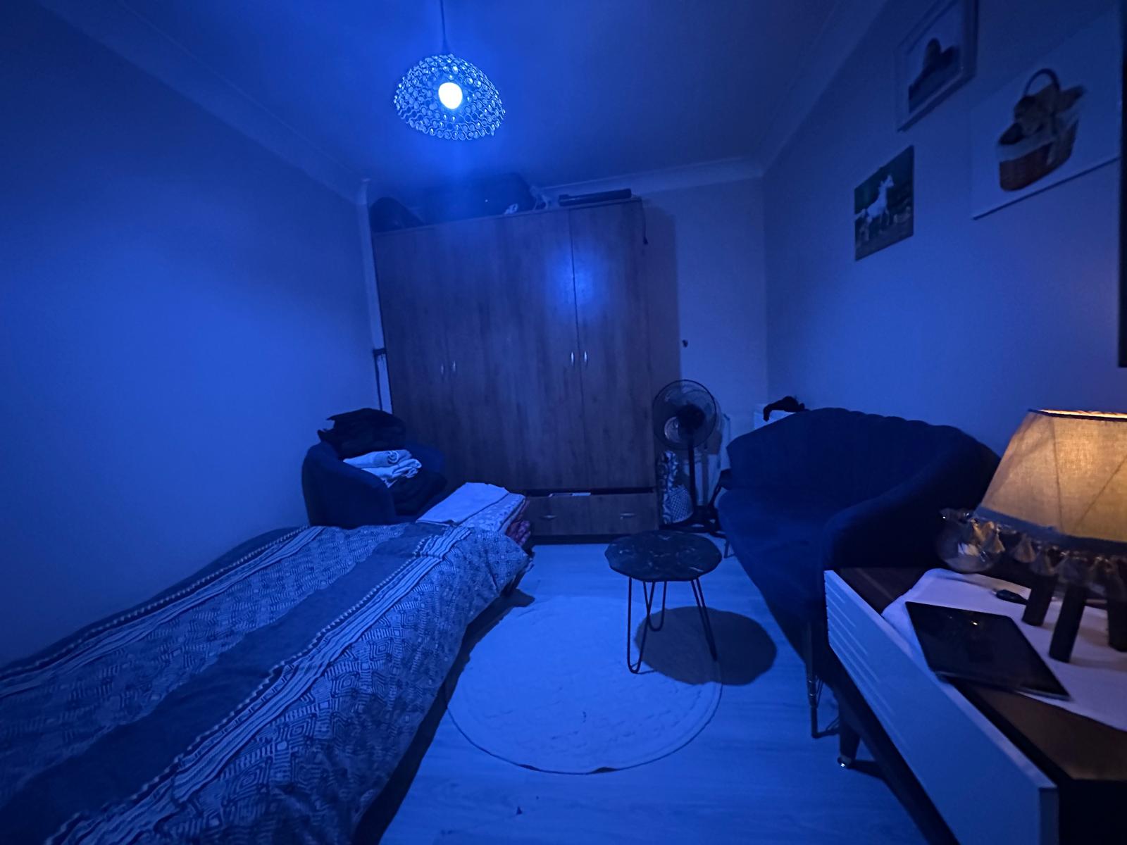 Kiralık Daire, İstanbul / (M)BEYLİKDÜZÜ / GÜRPİNAR